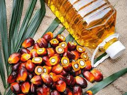 Palm Oil Market'