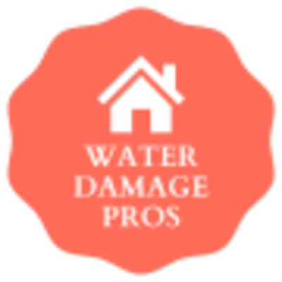 Company Logo For Country Capital Water Damage Pros'