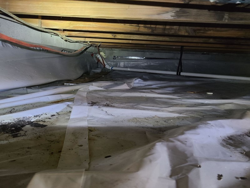 Company Logo For Dade City Crawl Space Repair'