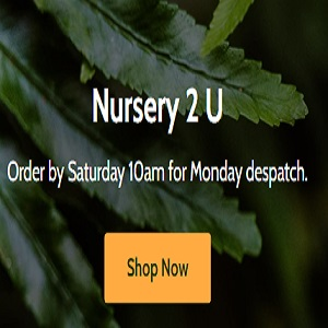 Company Logo For Nursery 2 U'