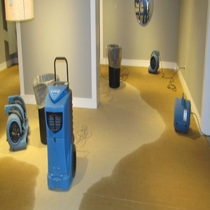 Texan Water Damage Restoration Dallas TX Logo