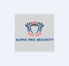 Company Logo For Alpha Pro Security'