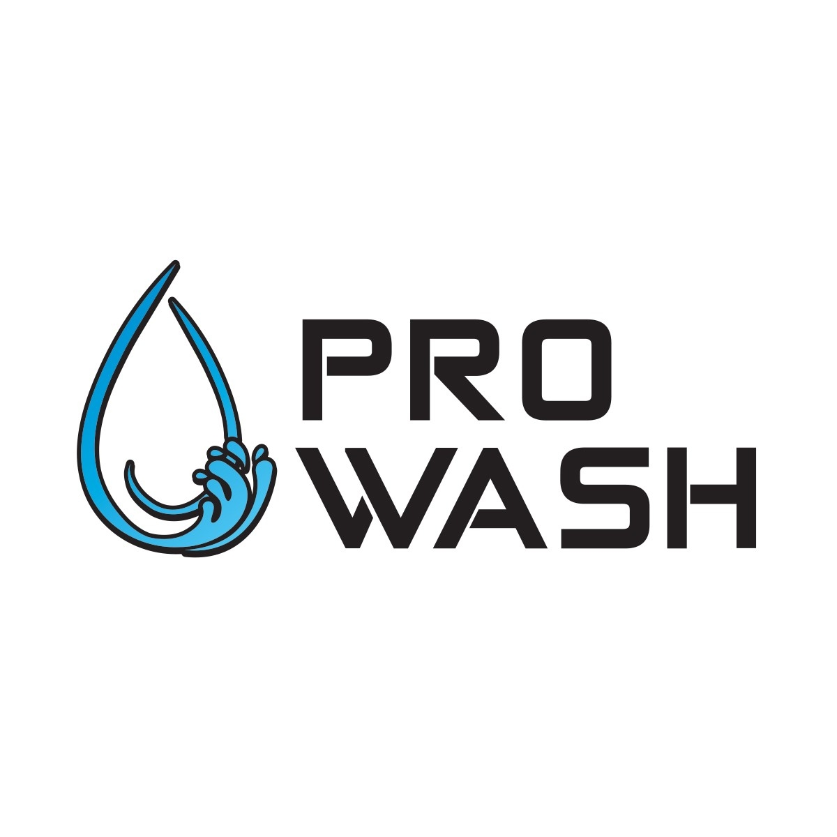 Company Logo For Pro Wash - Festus'