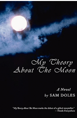 My Theory About the Moon