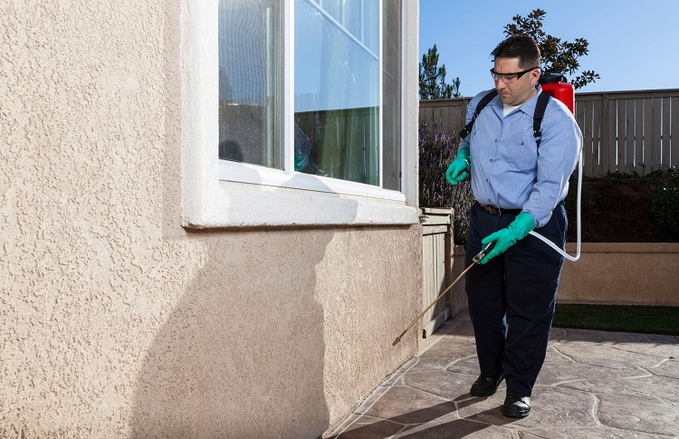 Company Logo For Spring City Termite Removal Experts'