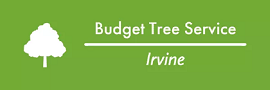 Company Logo For Budget Tree Service Irvine'