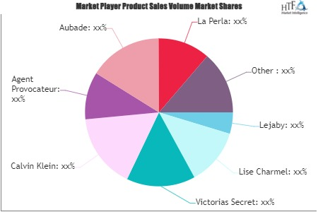 Erotic Lingerie Market