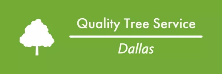 Company Logo For Quality Tree Service Dallas'