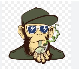 Company Logo For Bongaily Online Headshop'