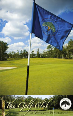 Golf in Charleston SC'
