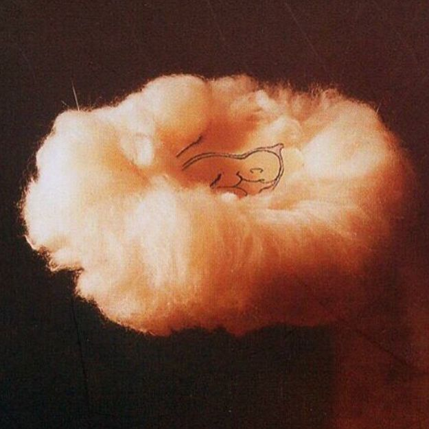 Lucio Fontana Artwork'