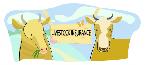 Livestock Insurance Market'