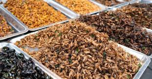Insect Farming Market'