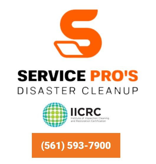 Company Logo For Services Pros of Lake Worth'