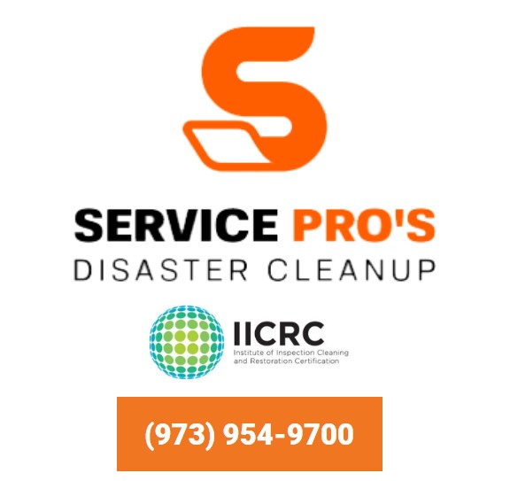 Company Logo For Services Pros of Newark'