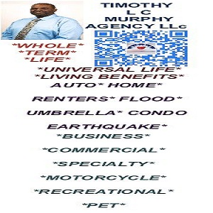 Renters Insurance'