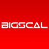 Company Logo For Bigscal Technologies Pvt. Ltd.'