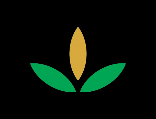 Company Logo For Norwood Natural's CBD'