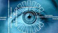 Iris Biometrics Market