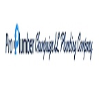 Company Logo For Pro Plumber Champaign IL Plumbing Company'
