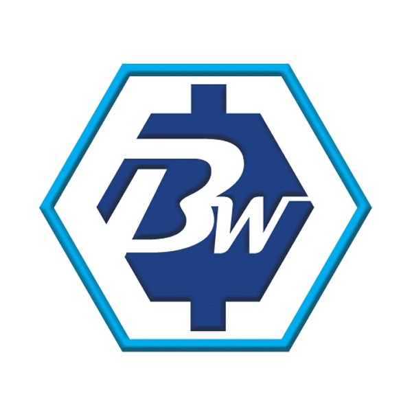 Company Logo For Bless Web Designs'