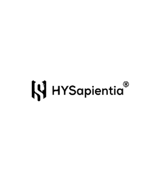 Company Logo For Air Fryer Ovens Are HYSapientia&#039;s Spec'