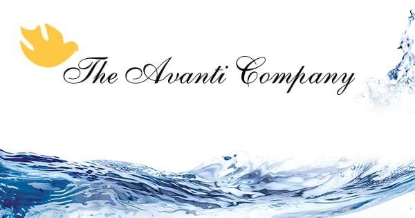 Avanti Offers Open Channel Sewer Flow Meters
