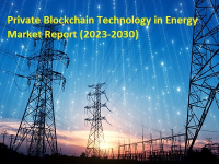 Private Blockchain Technology in Energy Market