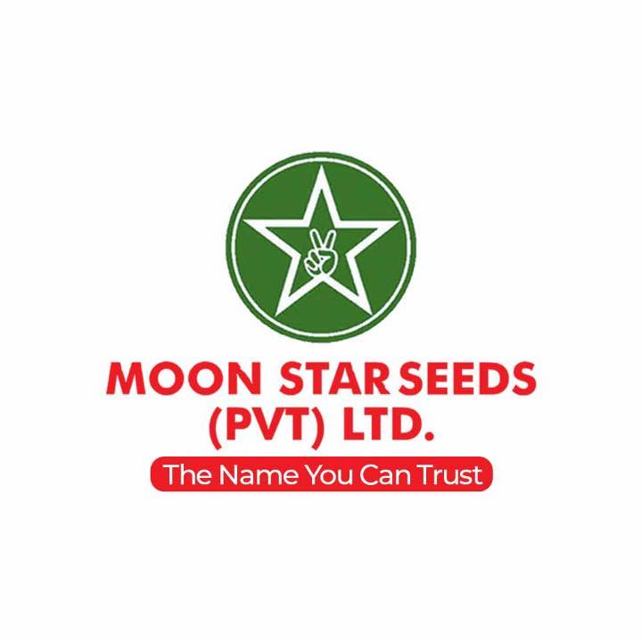Company Logo For Moon Star Seeds Pvt Ltd'