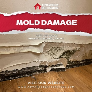 Advanced 24/7 Water Damage Restoration &ndash; Denver'