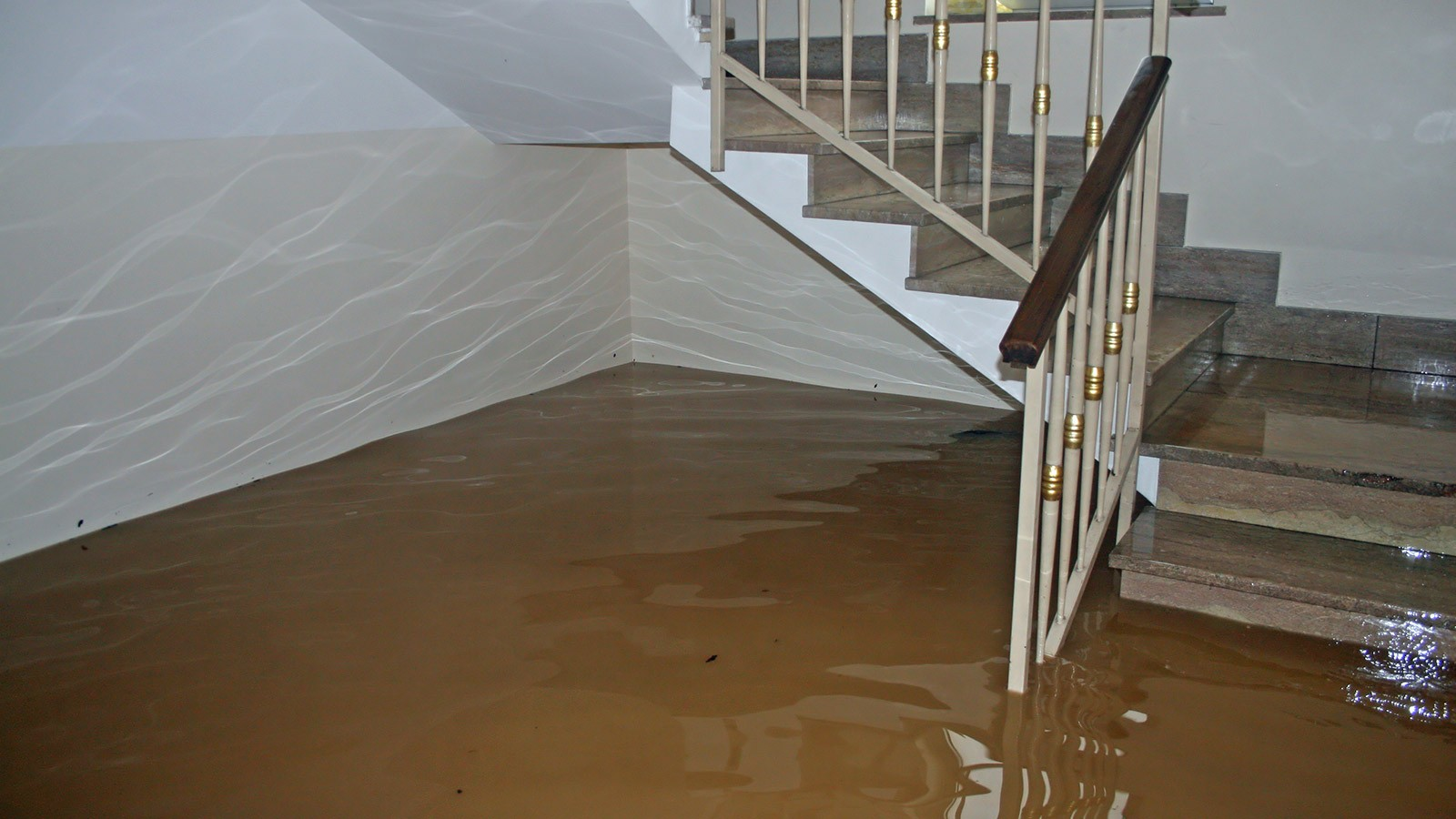 Flood Damage Restoration Baldivis'