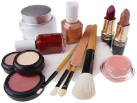Womens Cosmetics Market