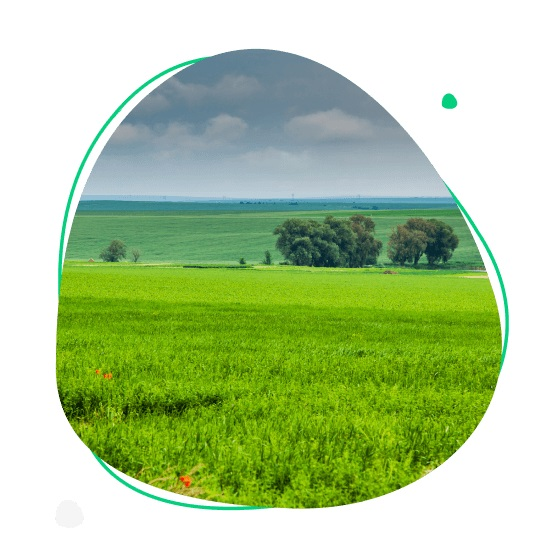 I Have Land To Sell'