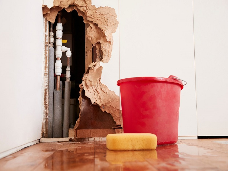 Conway Water Damage and Restoration Kings'