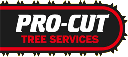 Company Logo For Tree Pruning Melbourne - Pro Cut Tree Remov'