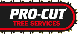 Tree Pruning Melbourne - Pro Cut Tree Removal Services