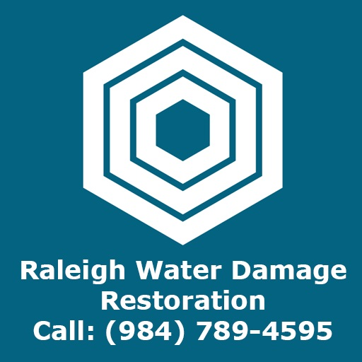 Company Logo For Raleigh Water Damage Restoration'