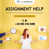 assignment help'