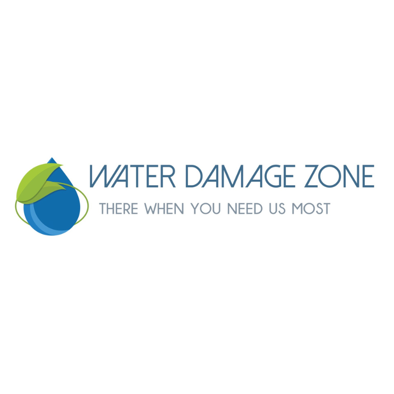 Company Logo For Water Damage Zone And Restoration'