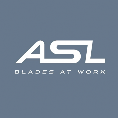 Company Logo For ASL Industries Ltd'