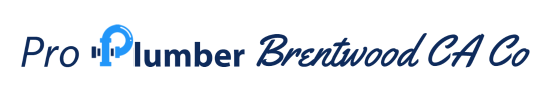 Company Logo For Pro Plumber Brentwood CA Co'