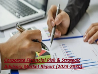 Corporate Financial Risk & Strategic Advisory Market