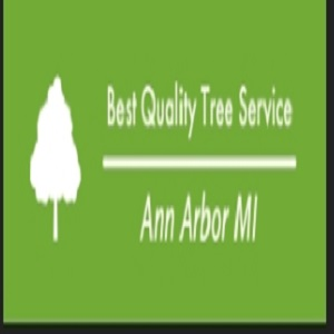 Company Logo For Best Quality Tree Service Ann Arbor MI'