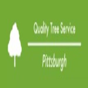 Quality Tree Service Pittsburgh