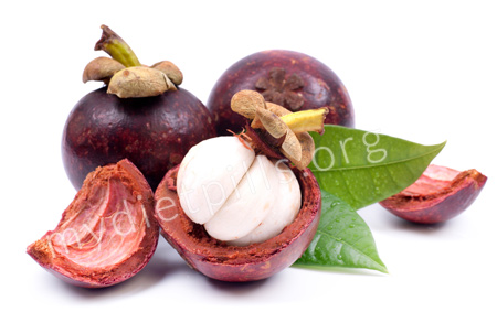 The Garcinia Cambogia Extract Logo'