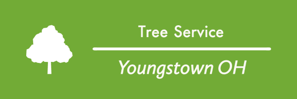 Company Logo For Tree Service Youngstown OH'