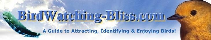 birding binoculars