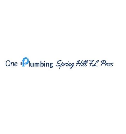 Company Logo For One Plumbing Spring Hill FL Pros'