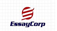 Custom Essay Writing Service'