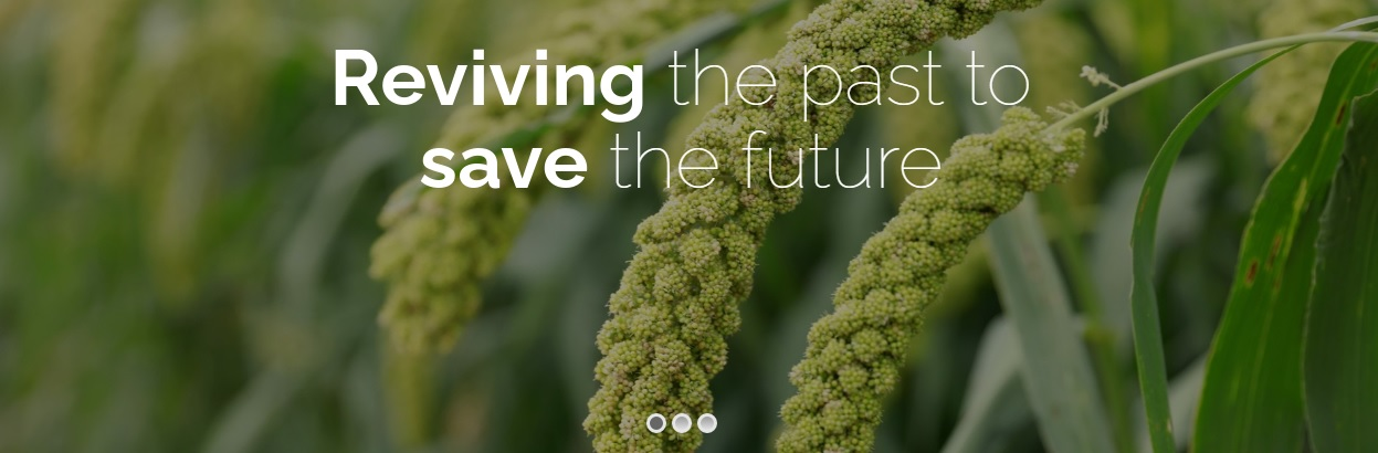 Company Logo For S & V MILLETS INC.'